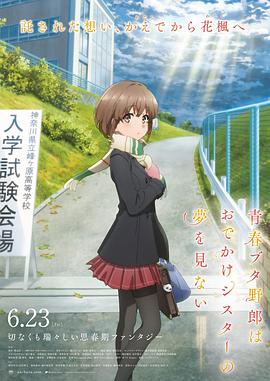 91网站免费看
